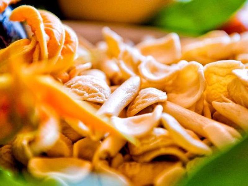 08C1B0E377F18D7B50F63C5620E03075