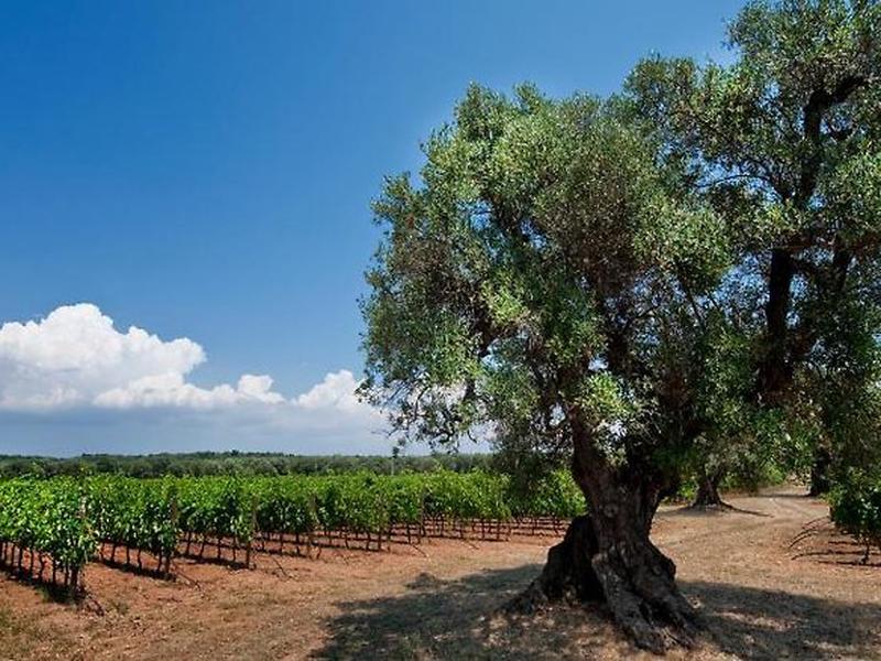 D83CAFFDF58E6B224A8713AC270F4F26