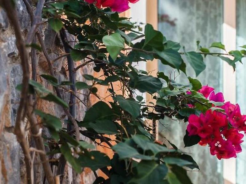 D2AB5C57C84A05DF4FCB097E76FE3EE5