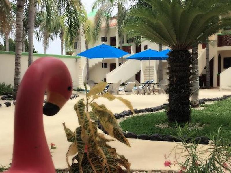 933AE63F1908841BB6D4A6E3A95B02ED