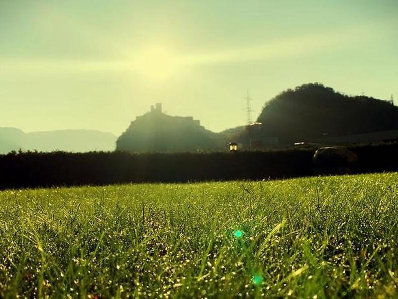 7D09BEB01159E0CB852C26F451A3C9AF