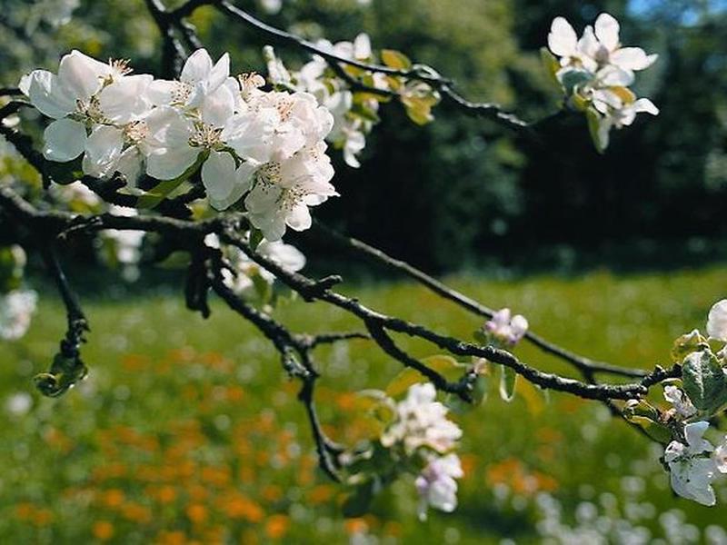 71AA0893040946C019441EF7CAADC674