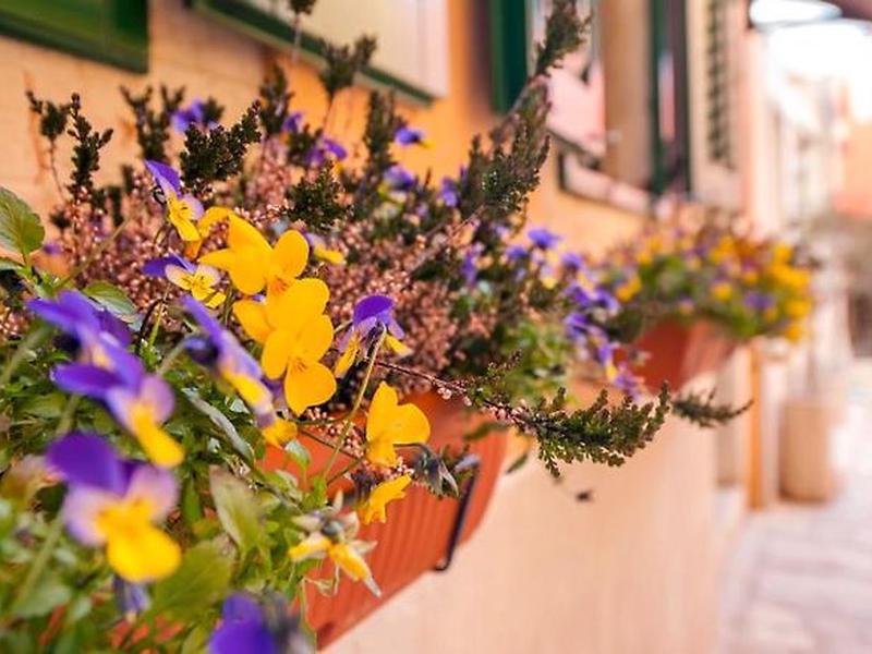 97053F55DB5308E32923F168FFAAB4B3