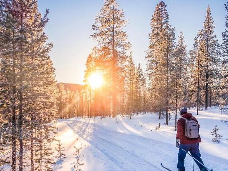 D8D0799004D76690E1973AFBBE1F51FA