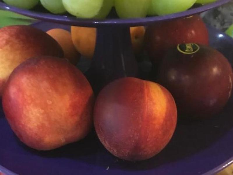 C6F799923043649290CC05BE4B4FBEB2