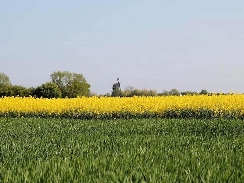 9EA6DCA555ACAD2D27324F1B1408A56C