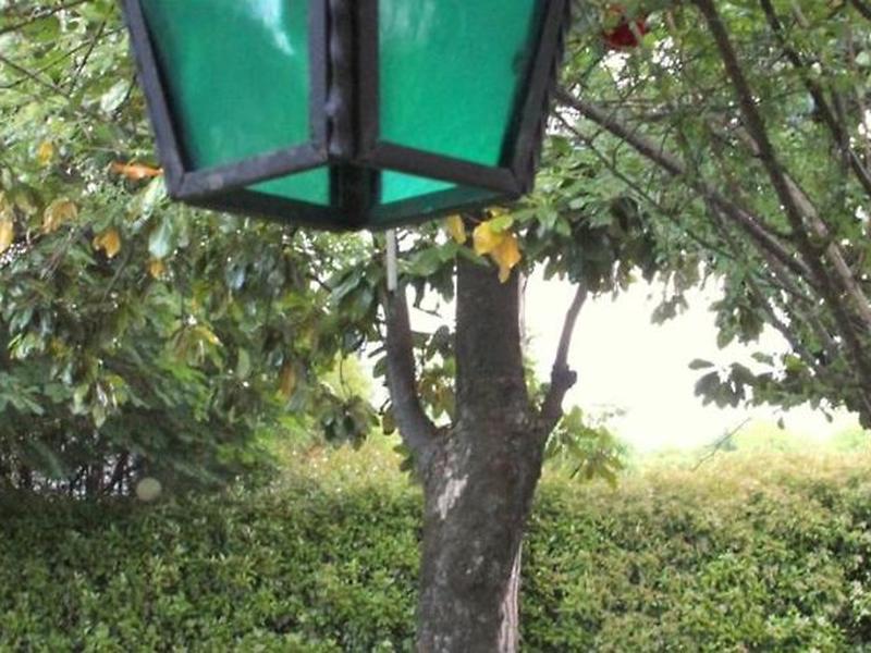 F0832E4ED8E24E5E5FC4A2F1C5EFB401