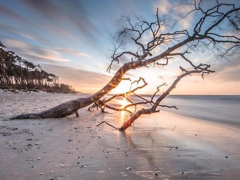 EC60EABE2B08D56298E8C52D0596457D