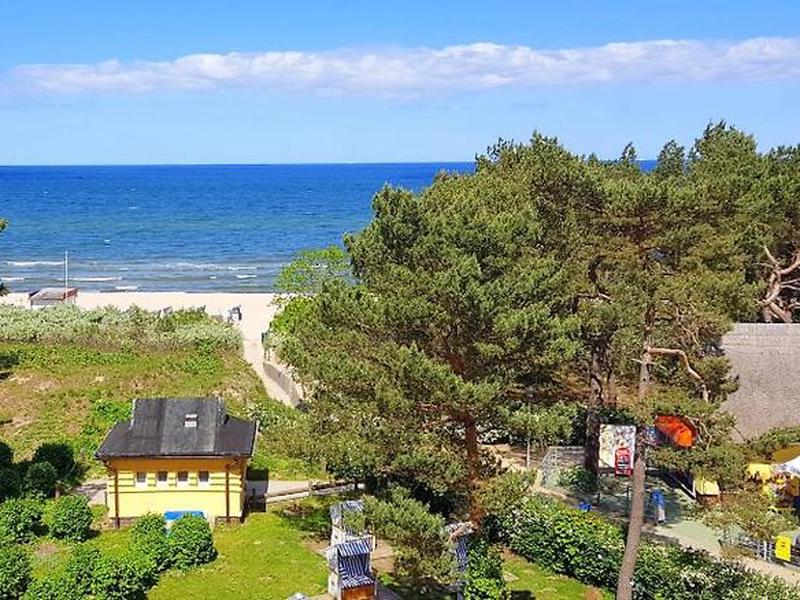 F1B56FB21F0E01C1989FAE2CDF3D2D73