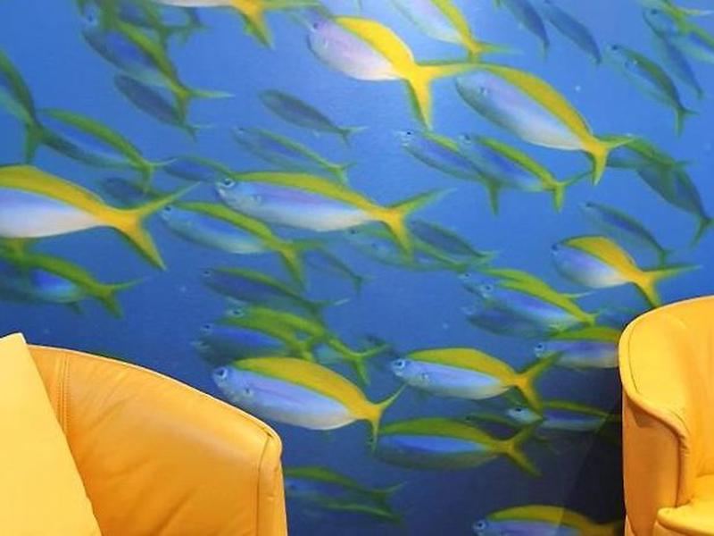 88241DF7FFDD0A9A70EB784772C52074