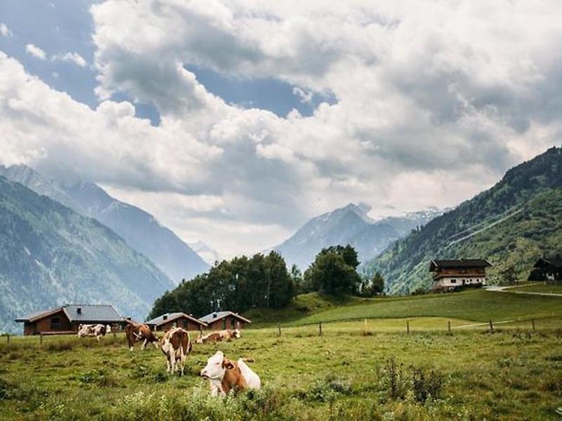 1B79B7B92ACB69CB056230CF694EDF7F