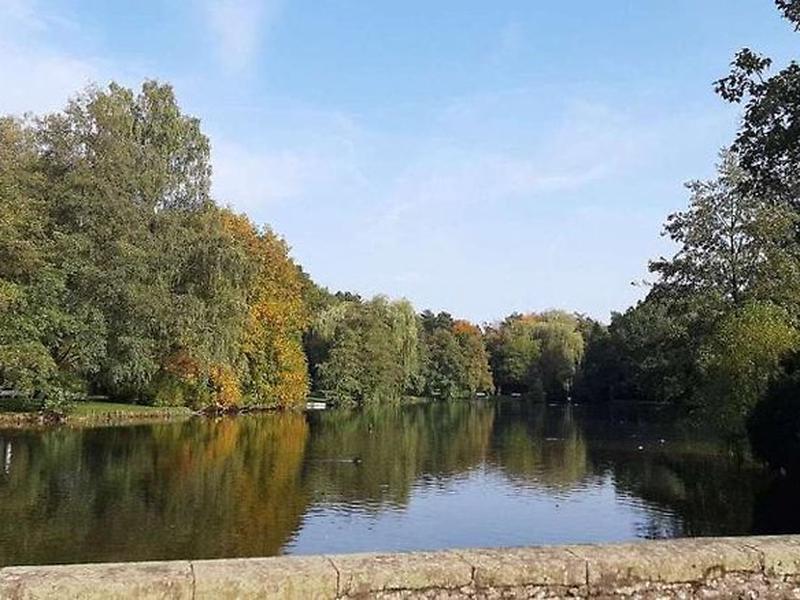 265976CB446AFA2E99CE394534C5C4CF