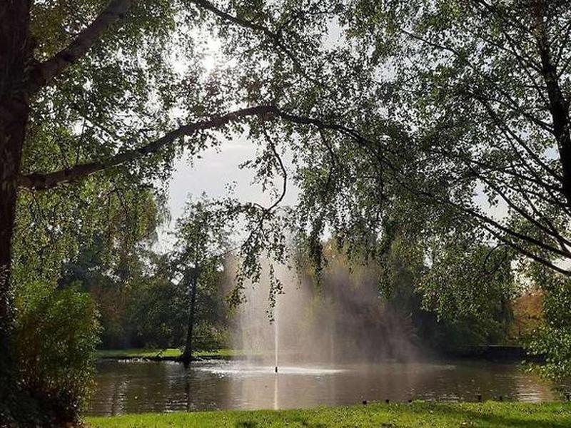 33EA41FA88A41ED6DCCC675720CE2C40