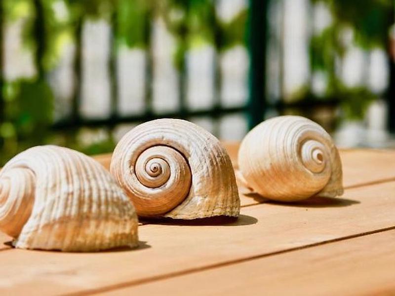 CE1DCA11D10DC60275147FFFDE3C7915