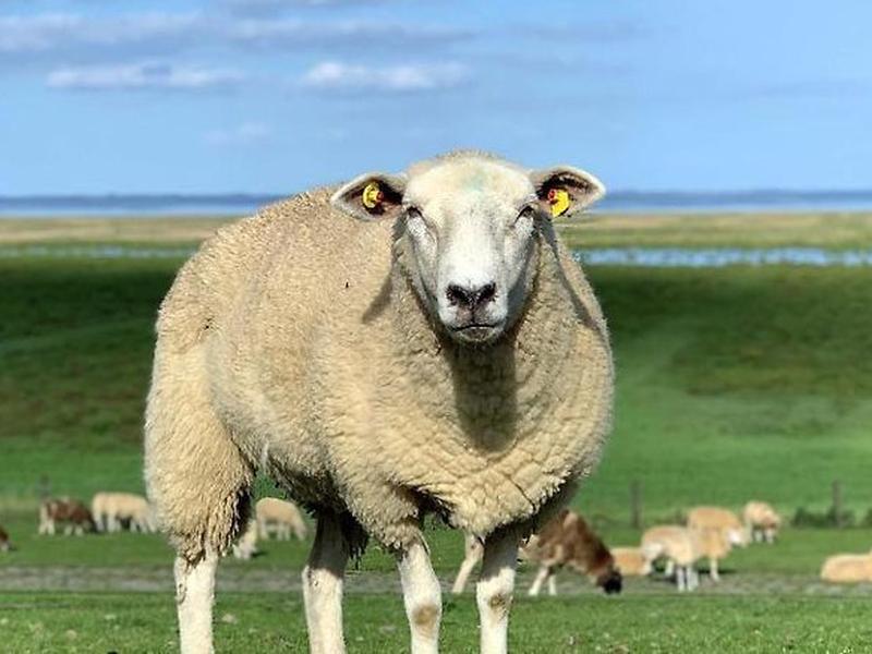 0B40F06207309049D381354CCBA144B1