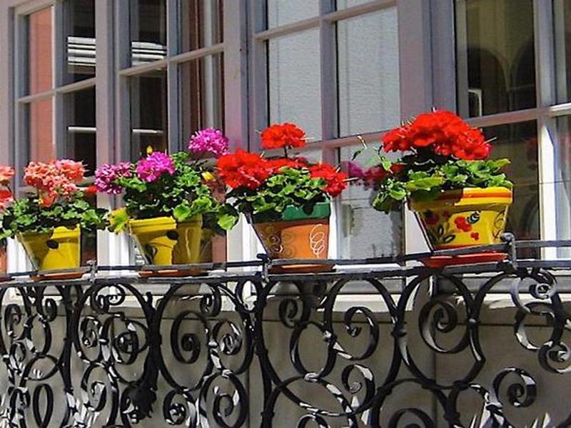 7AFF62A7B2ABE189F81AA11E232AE4CB