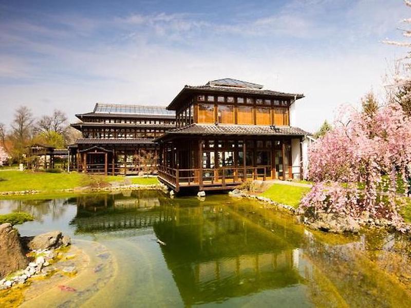 2569C0560ECE1981B9AE3B7B1A3D1584