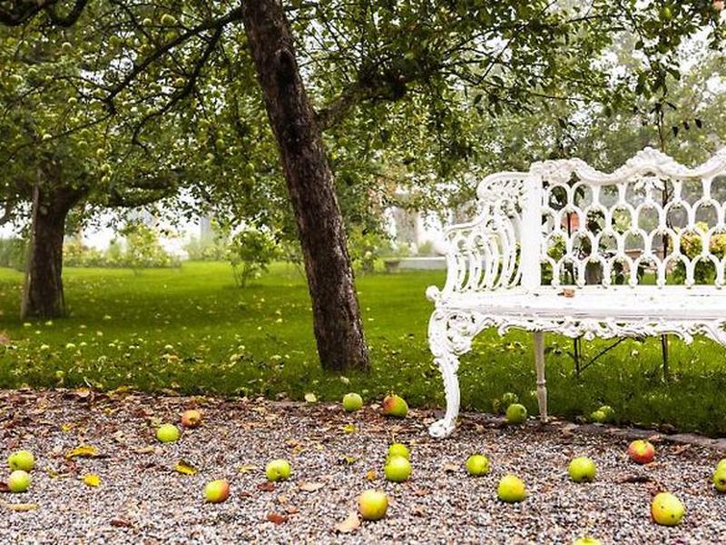 8C969DCA072524EA1F17879DC6F7DDA6