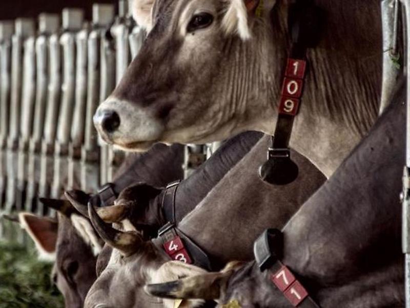 DD0C21B0D1593A9C4C93998527451534