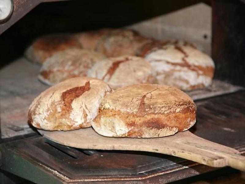 626B54381FCB733866E25B9626C5BE11