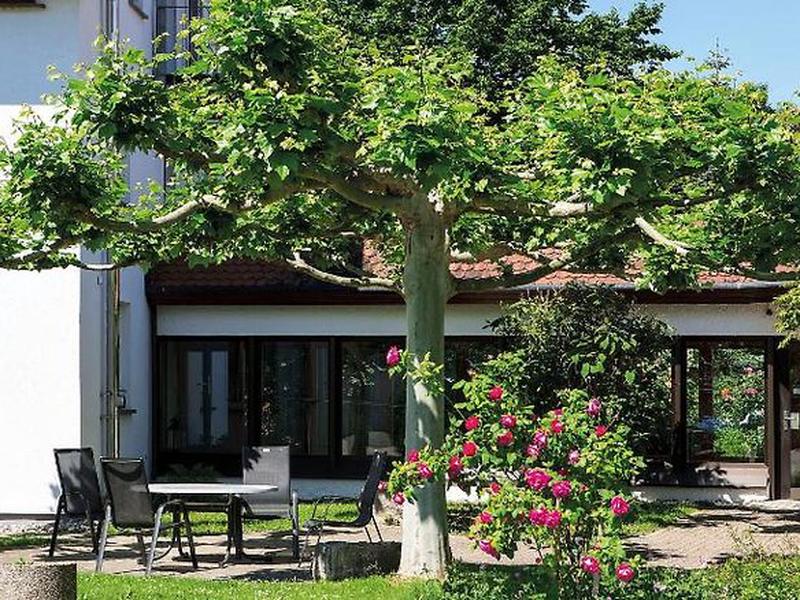 7CF41633C05A69BBA9C862A4AE4E17A8