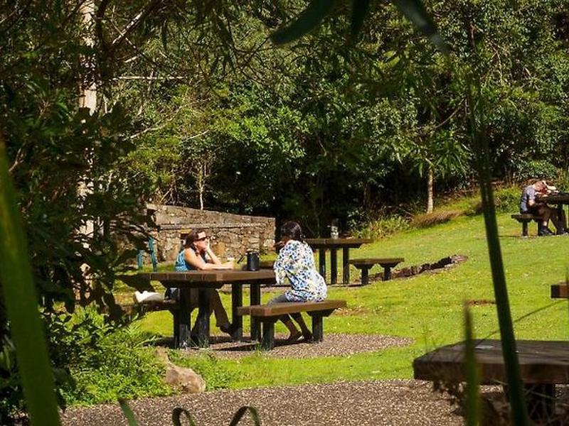 A597C5656B19D05E84949CEAB008F163