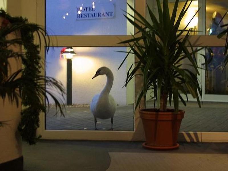 279D98B6FE36A3580A186AA1D29ABA39