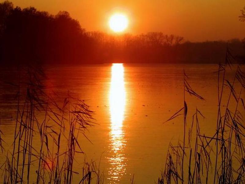 17E093DC4F65F772147245971CF5CE11