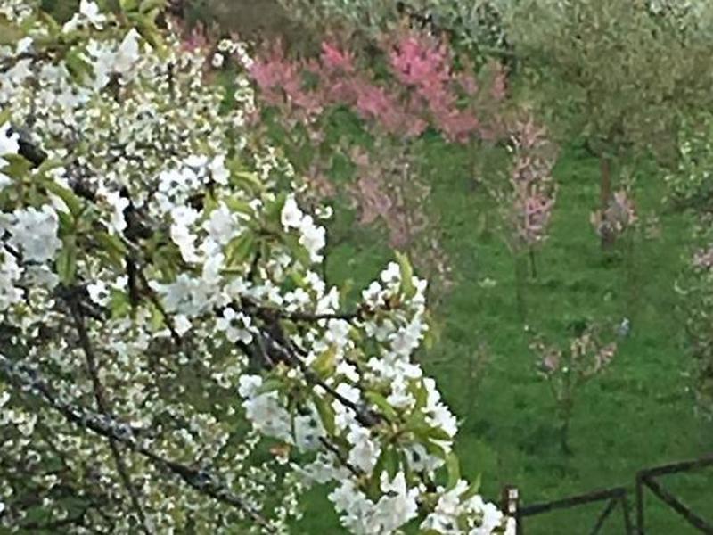 9D53EBDE12965785598D28FAAE358717