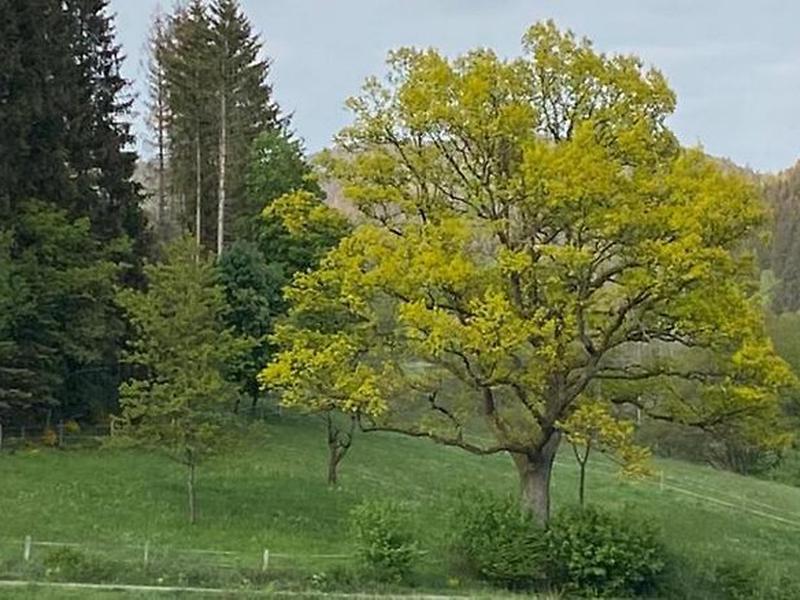 FFCA5C57971E311F78505797766C0C88