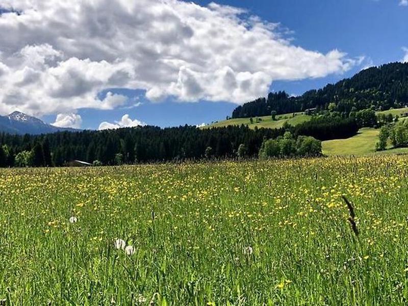 19E9B5A85B0EDBA2167910F97C8F0152