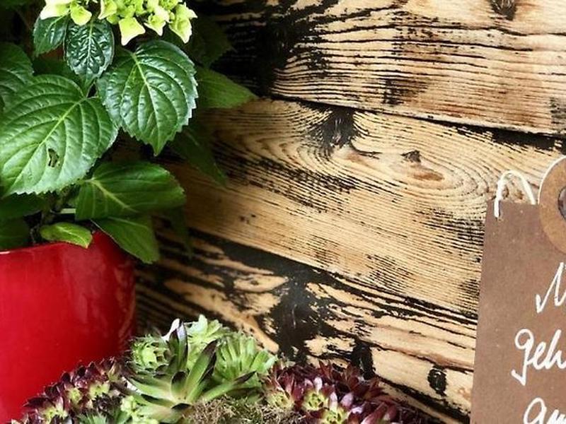 A6AA0ABBA980ED42D089ACDD99A7776E