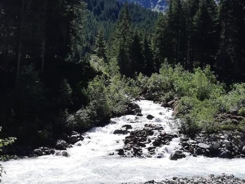 4F784484CF0EF0AA263337447D035AF7