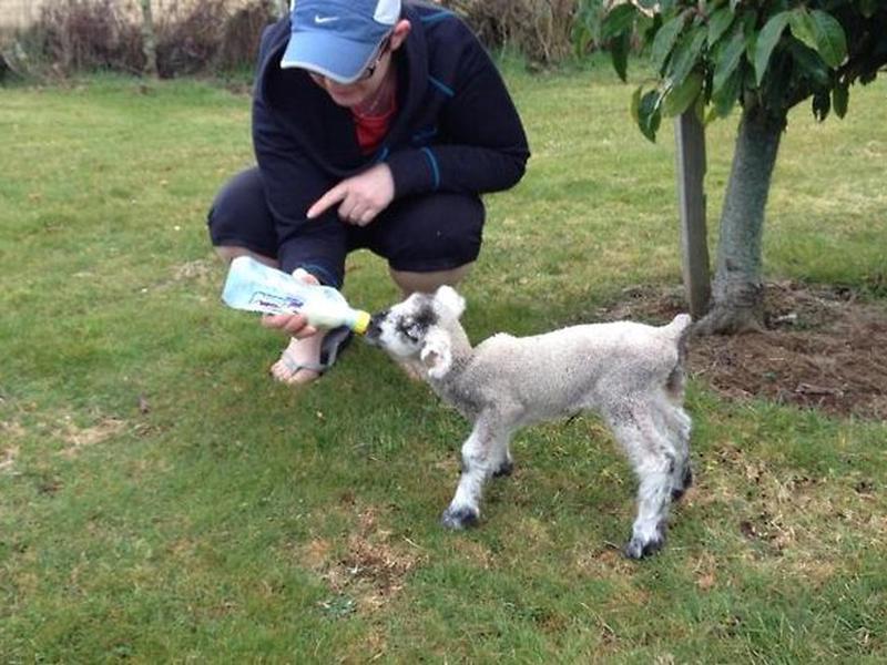 5322F100B9A67FE5C0EB1B457852F634