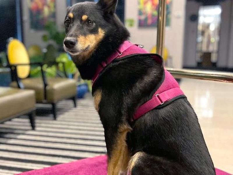 3A90ECF1F8FC5D8608BA1FA68E5029FA