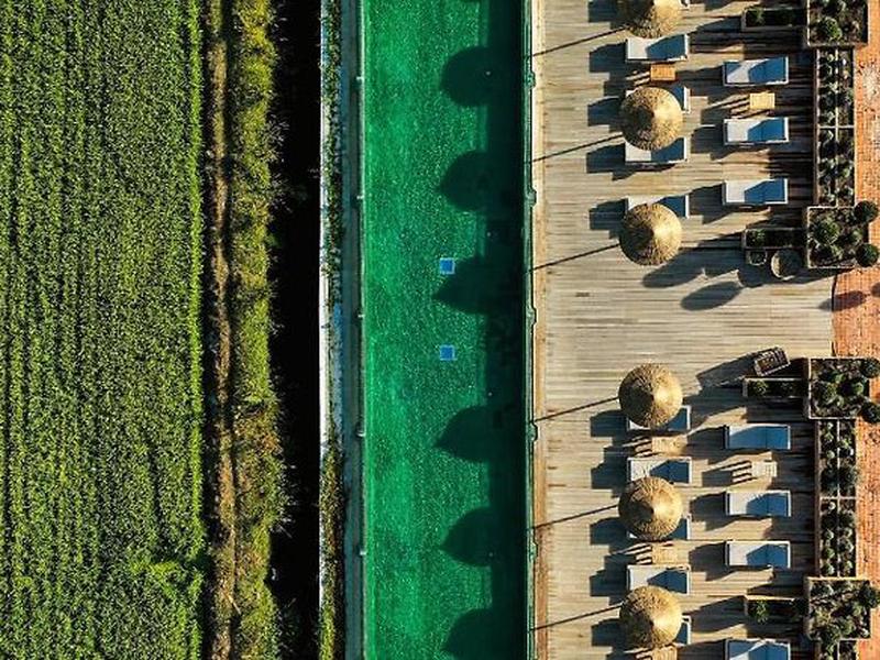 51E8AFE1294BA8FA9825381A4B178C55