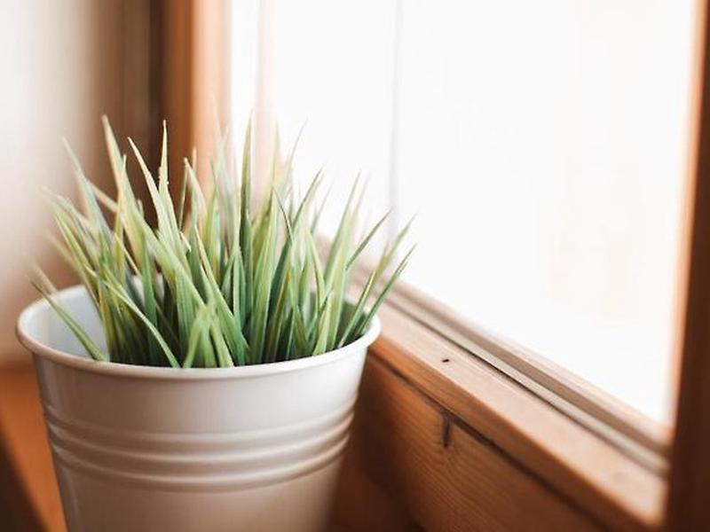 24AE5E6EC3F5CF95096903FFCEA9CA77