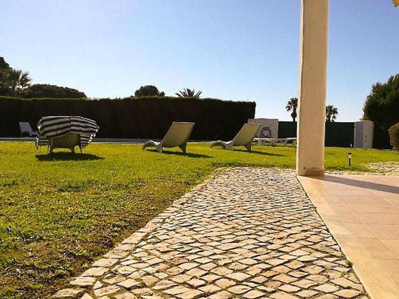 290FFE16D98CC94529225E33F7FC3F6C