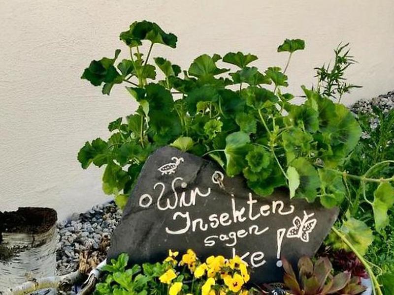 FB5EBDDE381D3AABCD5CBBE99C14BF76