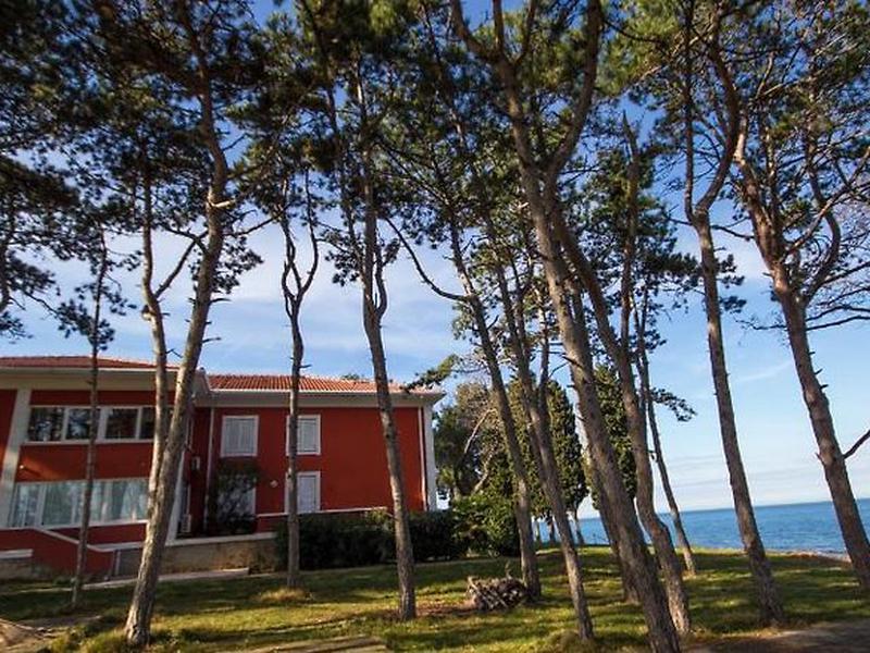 490966C0729114559C787579D4E40DDD