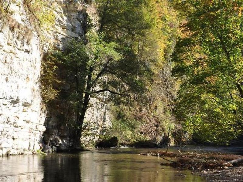 61CB9902D5B1C8B227D74ADC9C18C24D