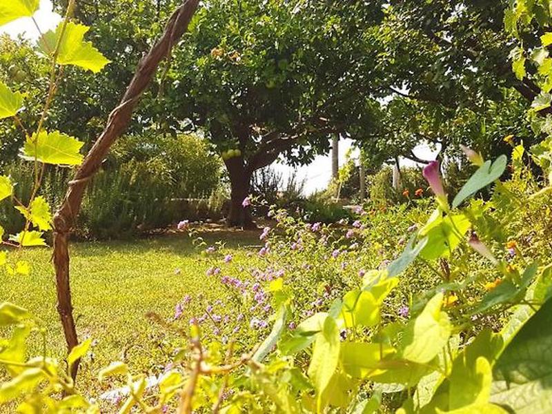 817867F4C06E1A77000AA95CB3923F6B