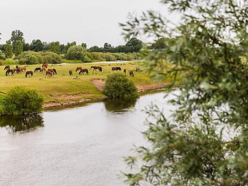 251CDECAE83544335AABFFC6463A407C