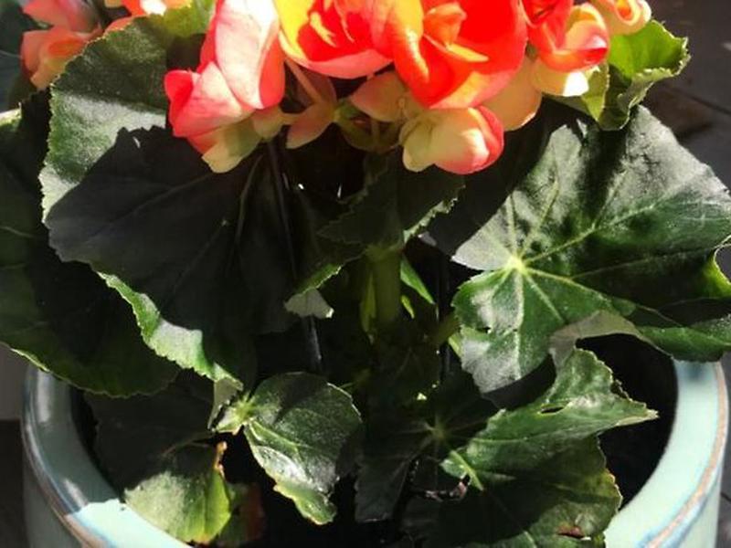 80F28D18F558AA58D1CC3E38A32FB3EA