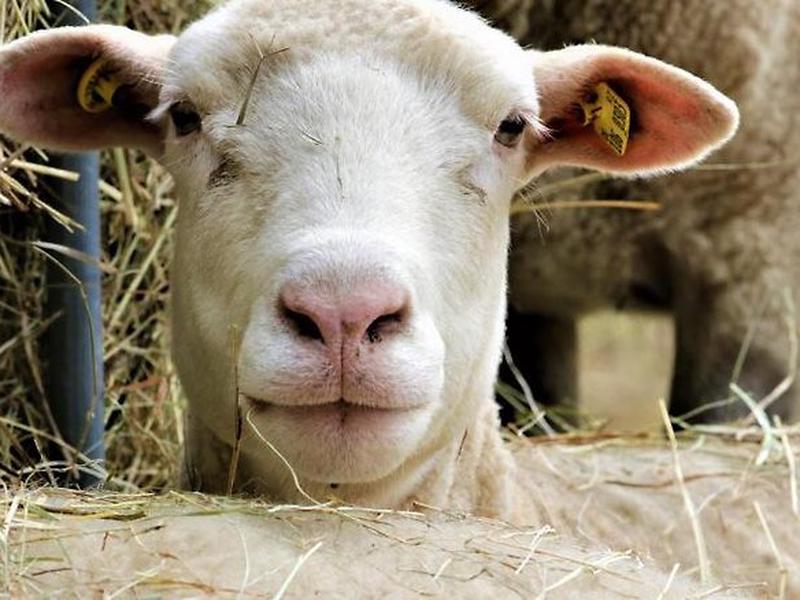 F0FC49C126B26EE345D56AF2BE60358E