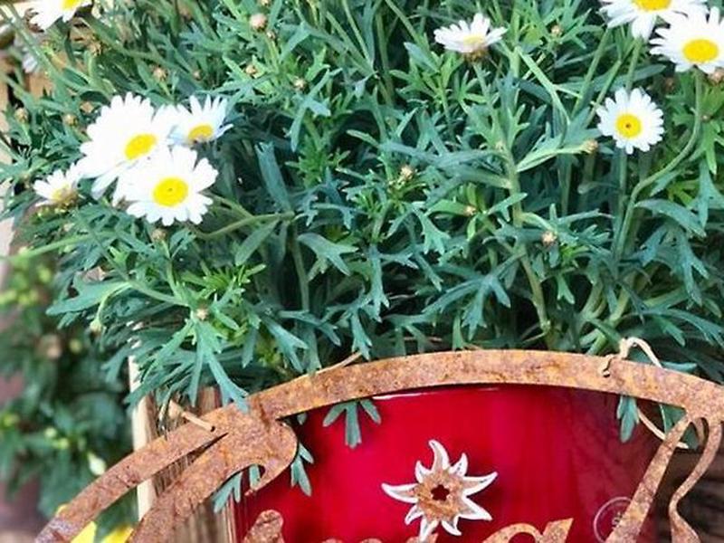 3B3D2C8C0B8469D102E3A80897BDF0D7