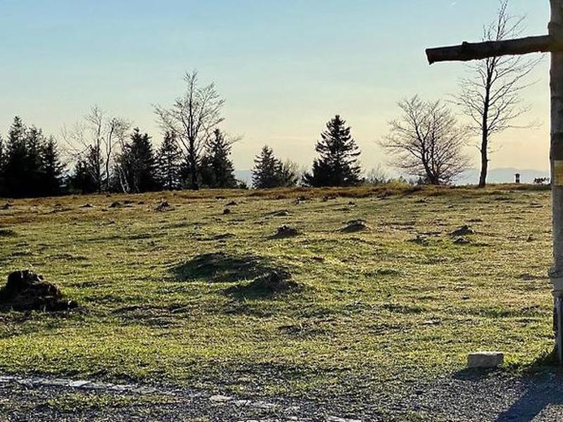 C4230509398B53E76341B7C65DE29906