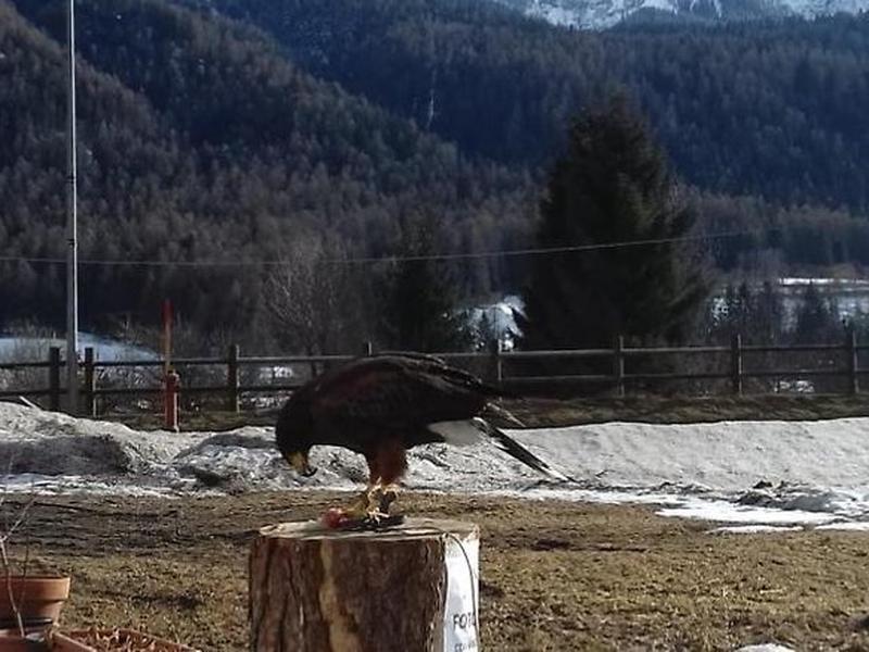 1E32D06A3A1547831AE8EE7935DCD3DE