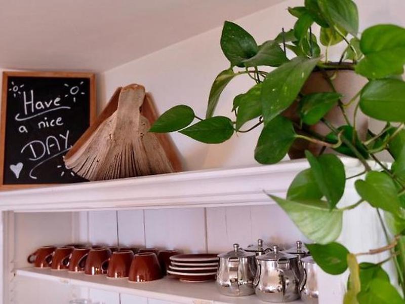 5BD062E4FA55E945CA10CD3166553C9E