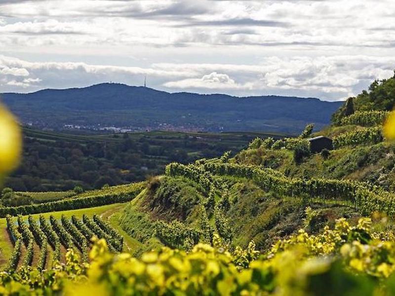 A6305DE2CEAE963D02397B9B76F1FCF1